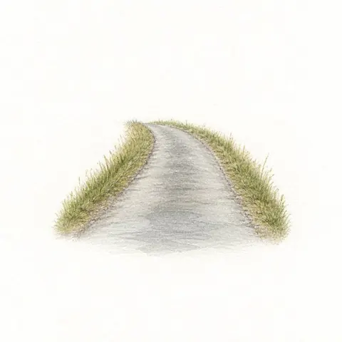el camino (road)